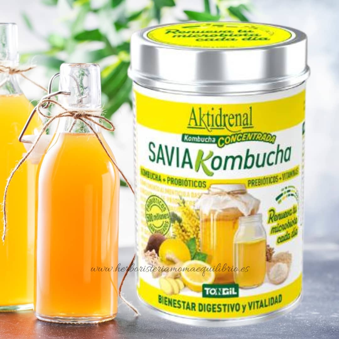 Kombucha concentrada